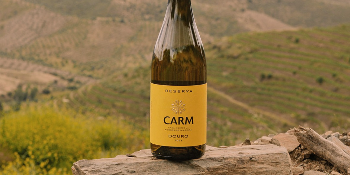 DAS ENCOSTAS DO DOURO AO COPO: DESCUBRA A PROFUNDIDADE DOS VINHOS DO DOURO